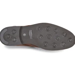 Carlington - LOUVIAN