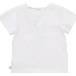 Carrément Beau - BOLLA