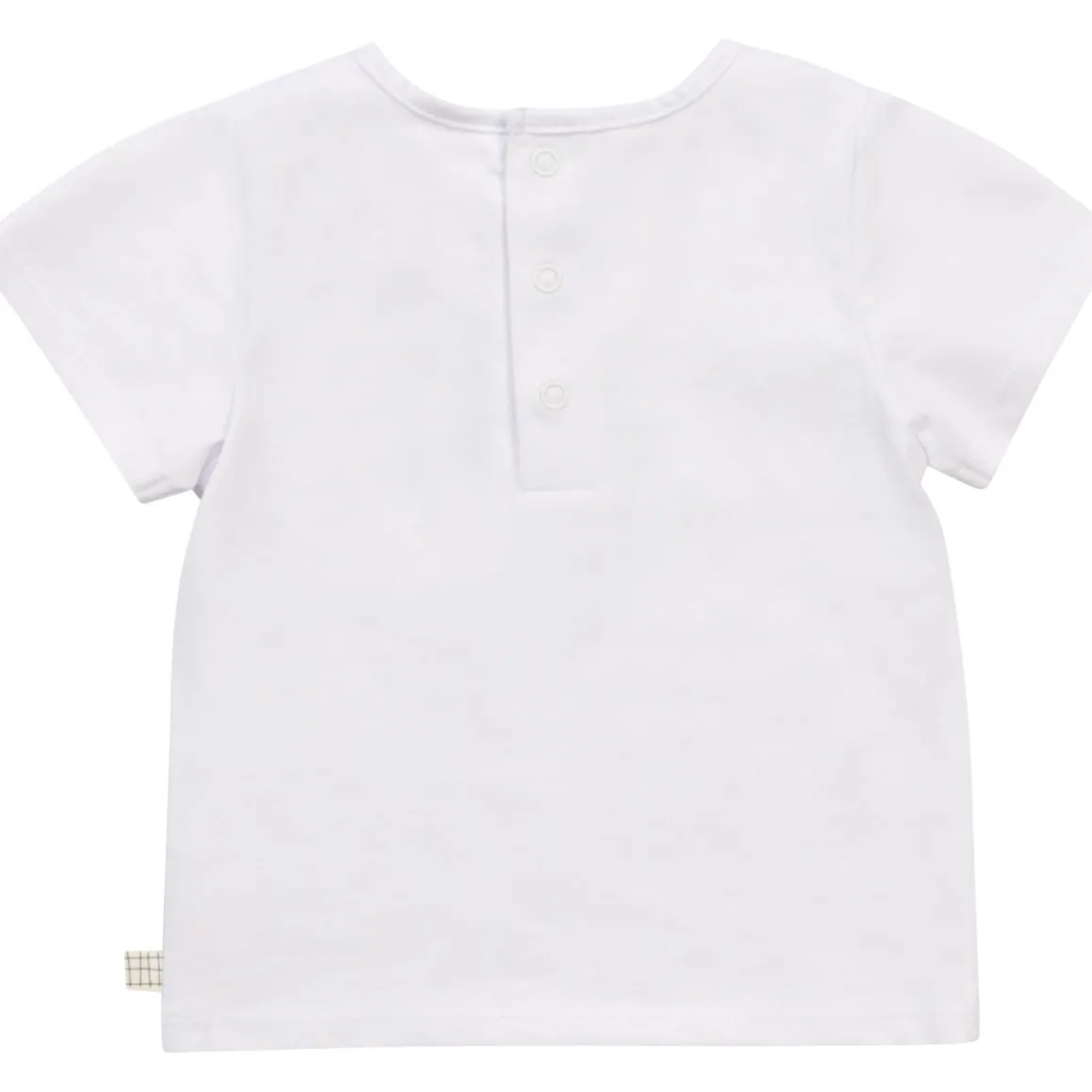 Carrément Beau - BOLLA