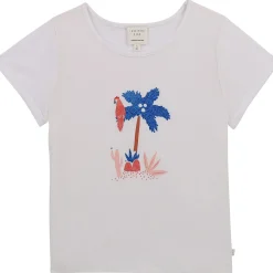 Carrément Beau - CASITA