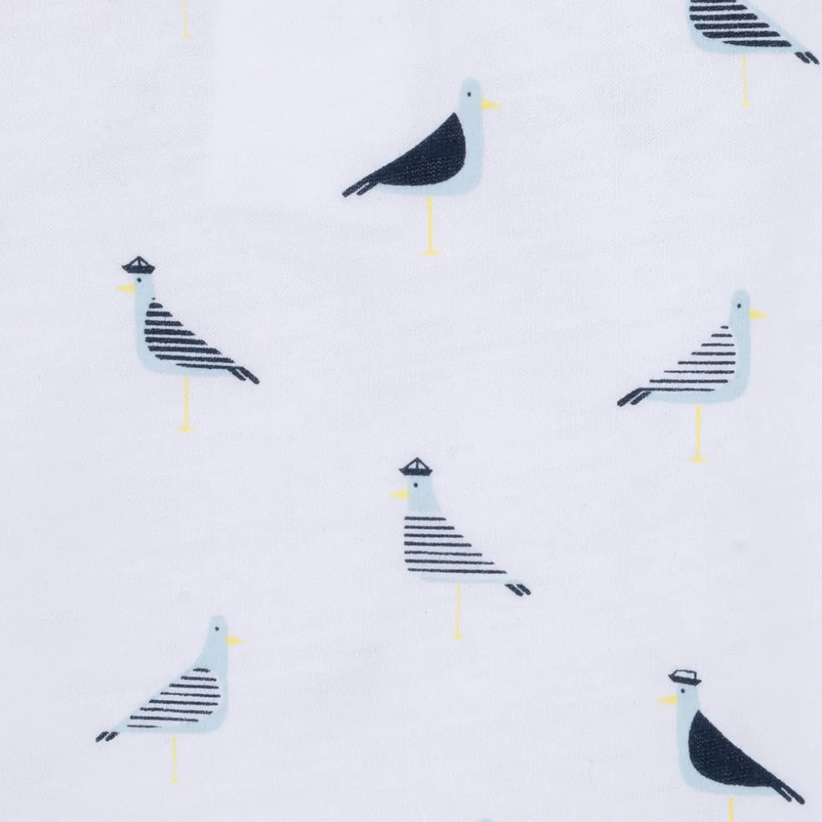 Carrément Beau - THIERRY