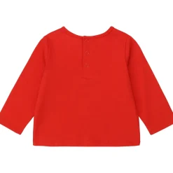 Carrément Beau - Y95252