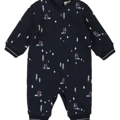 Carrément Beau - Y94187