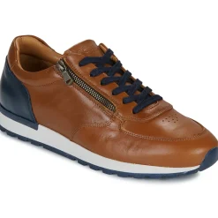 Casual Attitude - BILANO