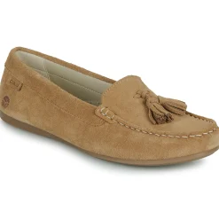 Casual Attitude - GATOE