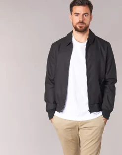 Casual Attitude - IHIBERNA