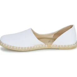 Casual Attitude - JALAYIVE