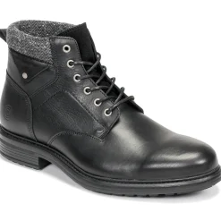 Casual Attitude - NAPILLON