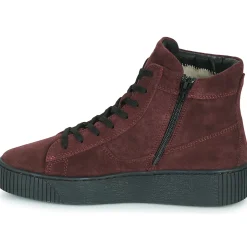 Casual Attitude - NOLWEN