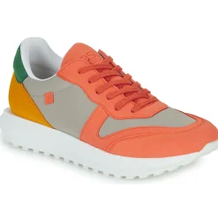 Casual Attitude - STRANI