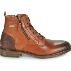 Casual Attitude - TYLIO