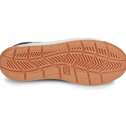 Caterpillar - APA CUSH