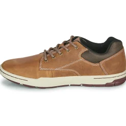 Caterpillar - COLFAX