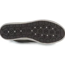 Caterpillar - PROXY HI