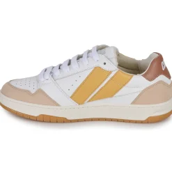 Caval - BROWN SAHARA