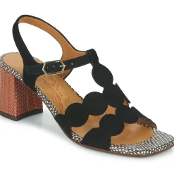 Chie Mihara - LUCALA