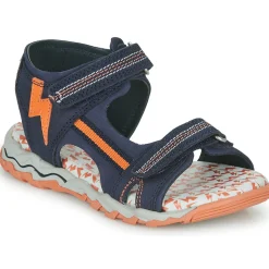 Citrouille et Compagnie - WAYO