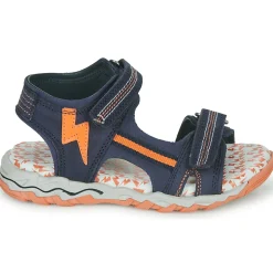 Citrouille et Compagnie - WAYO