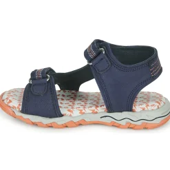 Citrouille et Compagnie - WAYO