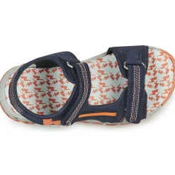 Citrouille et Compagnie - WAYO