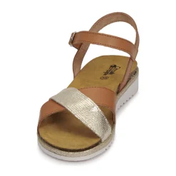 Citrouille et Compagnie - GAUFRETTE