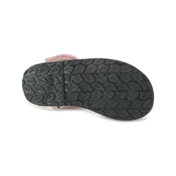 Citrouille et Compagnie - SQUOUBEL