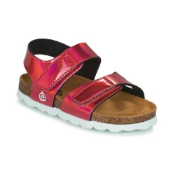 Citrouille et Compagnie - BELLI JOE