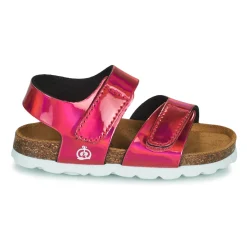 Citrouille et Compagnie - BELLI JOE