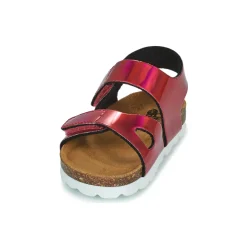 Citrouille et Compagnie - BELLI JOE