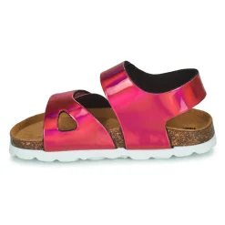 Citrouille et Compagnie - BELLI JOE