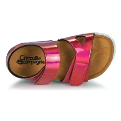 Citrouille et Compagnie - BELLI JOE