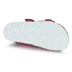 Citrouille et Compagnie - BELLI JOE