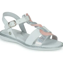 Citrouille et Compagnie - FILAPON