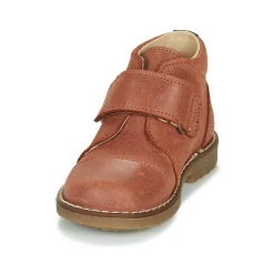 Citrouille et Compagnie - LAPUPI