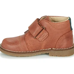 Citrouille et Compagnie - LAPUPI