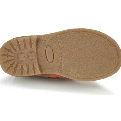 Citrouille et Compagnie - LAPUPI