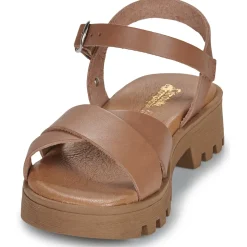 Citrouille et Compagnie - LILY