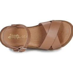 Citrouille et Compagnie - LILY