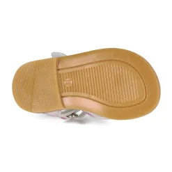 Citrouille et Compagnie - JARILOUTE