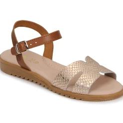 Citrouille et Compagnie - POLPETTE