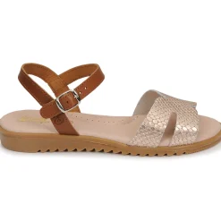 Citrouille et Compagnie - POLPETTE