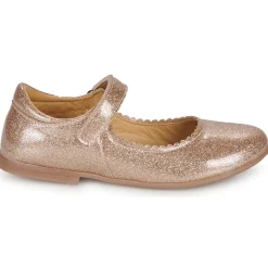 Citrouille et Compagnie - LOCOLA