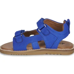 Citrouille et Compagnie - JOUPI