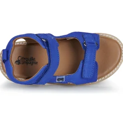 Citrouille et Compagnie - JOUPI