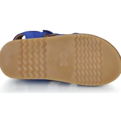 Citrouille et Compagnie - JOUPI