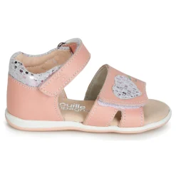 Citrouille et Compagnie - JAFALGA