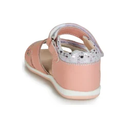 Citrouille et Compagnie - JAFALGA