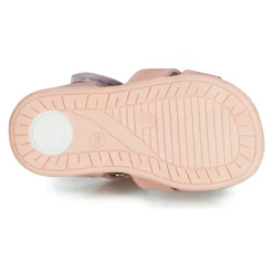 Citrouille et Compagnie - JAFALGA