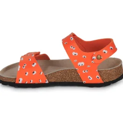 Citrouille et Compagnie - PISTAMI