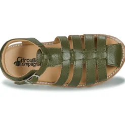 Citrouille et Compagnie - ASMILO